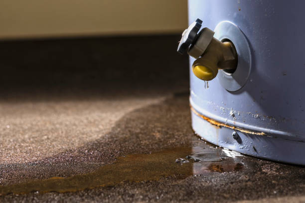 Best Water damage restoration experts  in Roanoke, IL