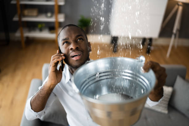 Best Water damage contractors near me  in Roanoke, IL