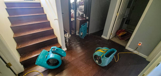 Best Flooded house restoration  in Roanoke, IL