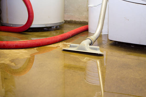 Best Local water damage restoration  in Roanoke, IL