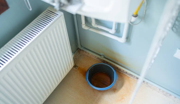 Best Flood damage cleanup  in Roanoke, IL
