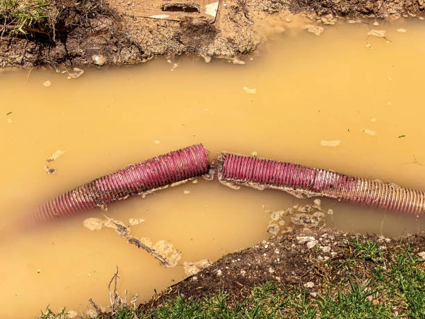 Best Sewage cleanup and water damage restoration  in Roanoke, IL