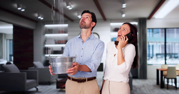Best Water damage restoration company  in Roanoke, IL
