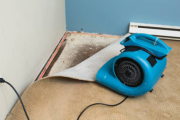 Best Sewage cleanup and water damage restoration  in Roanoke, IL